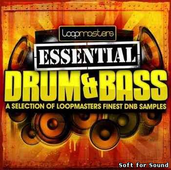 Lm-Essential_01_Drum_Bass.jpg