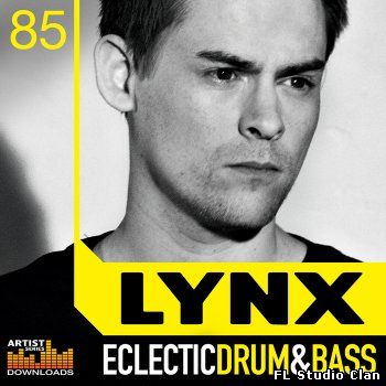 LM-lynx-eclectic-drum-and-bass.jpg