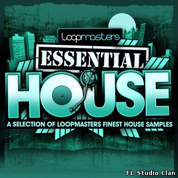 LM_essential-house.jpg