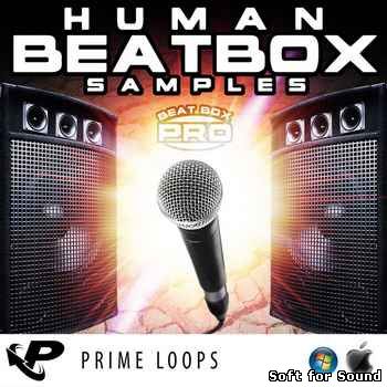 PL-Human_Beatbox_Samples.jpg