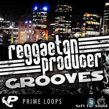 PL-Reggaeton_Producer_Grooves.jpg