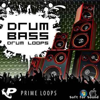 Prime_Loops-Drum-n-Bass_Loops.jpg