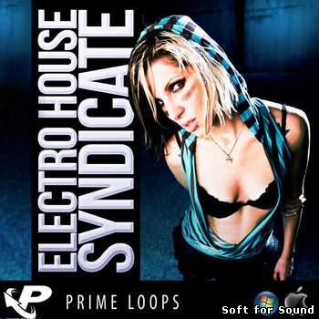 Prime_Loops-Electro_House_Syndicate.jpg