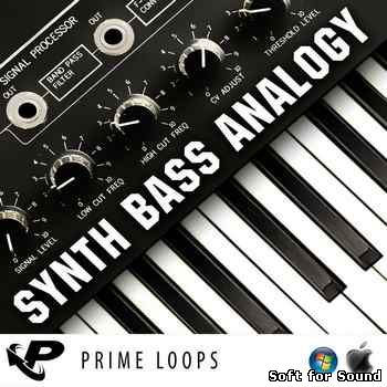 Prime_Loops-Synth_Bass_Analogy.jpg