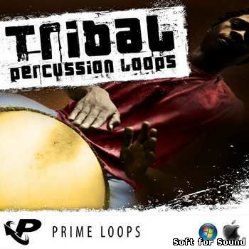 Prime_Loops-Tribal_Percussion_Loops.jpg
