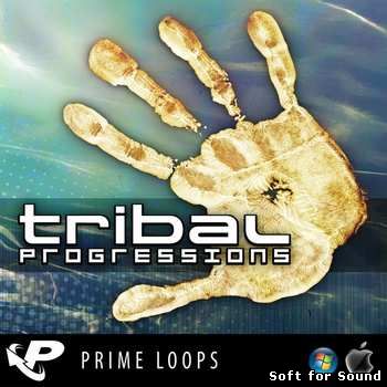 Prime_Loops-Tribal_Progressions.jpg
